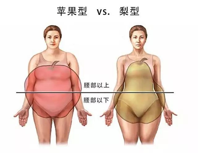再来看看下面7个判断苹果型身材的特点, 能对上4~5条,那么,你就是最难
