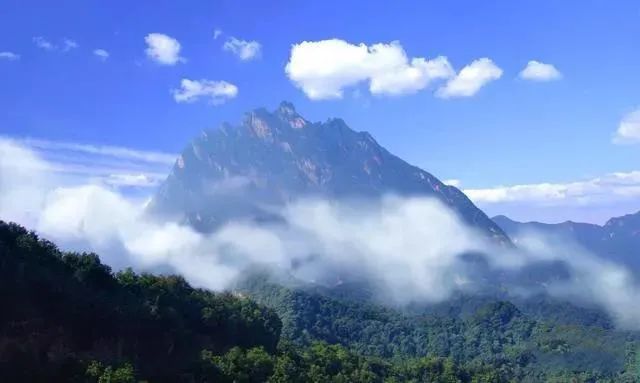 【关着】嵩县这个风景区自然纯净,纤尘不染,像是童话世界!