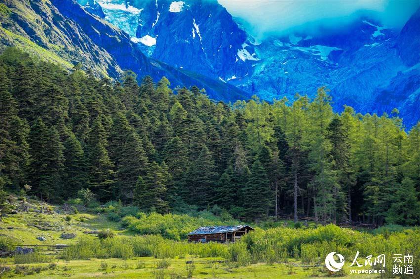 走进云南白马雪山曲宗贡邂逅夏日美景