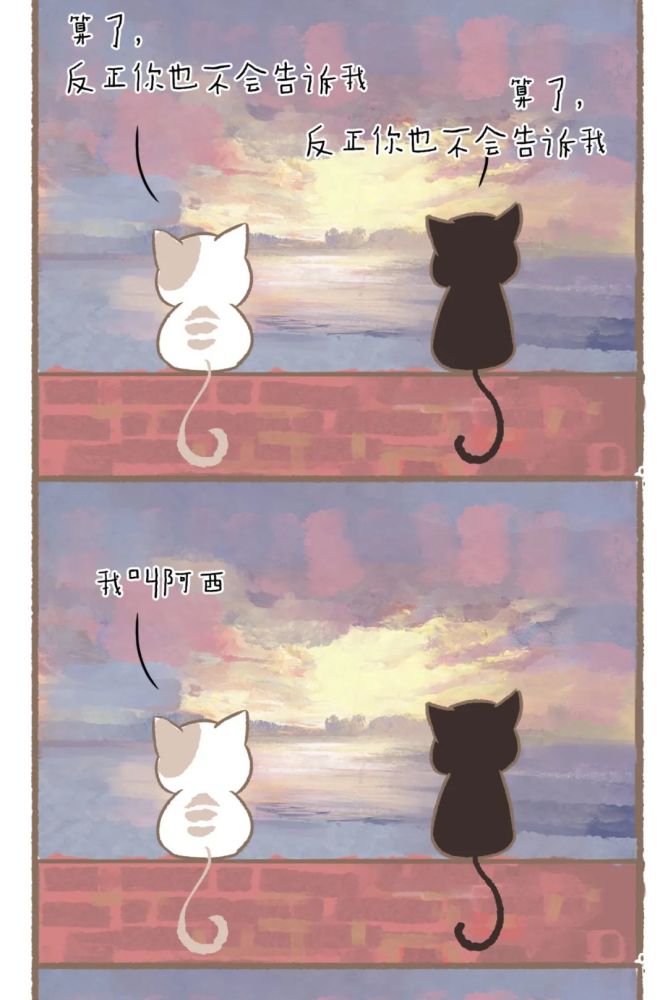 敲可爱漫画:白猫与黑猫的故事,你干嘛学我讲话?你喜欢我吗?