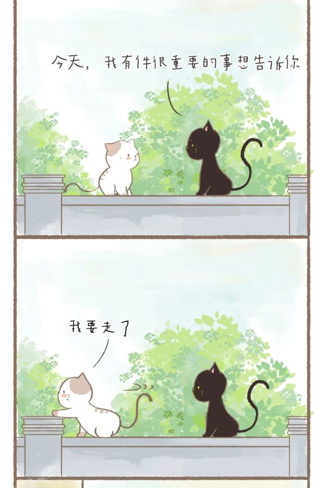 敲可爱漫画:白猫与黑猫的故事,你干嘛学我讲话?你喜欢