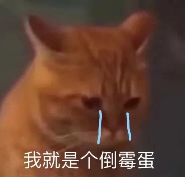 斗图表情包:我就是个倒霉蛋