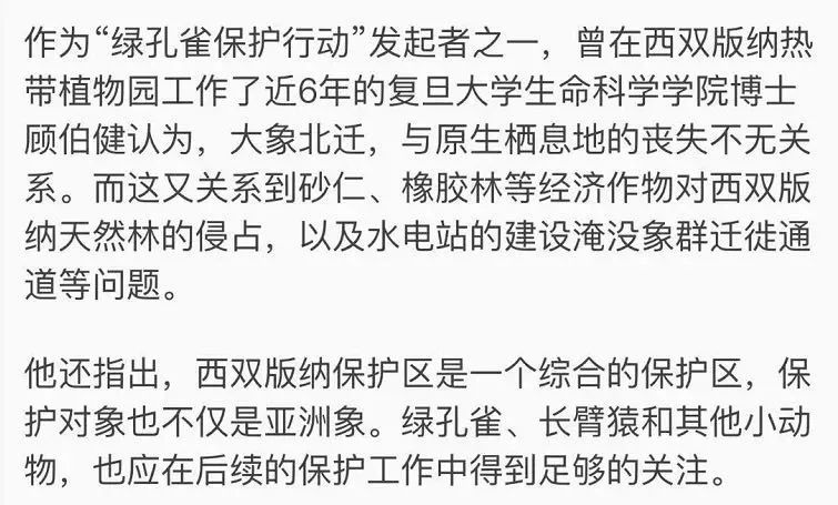 顾伯健明确指出,就是因为砂仁的种植,让热带雨林生态系统走向毁灭.