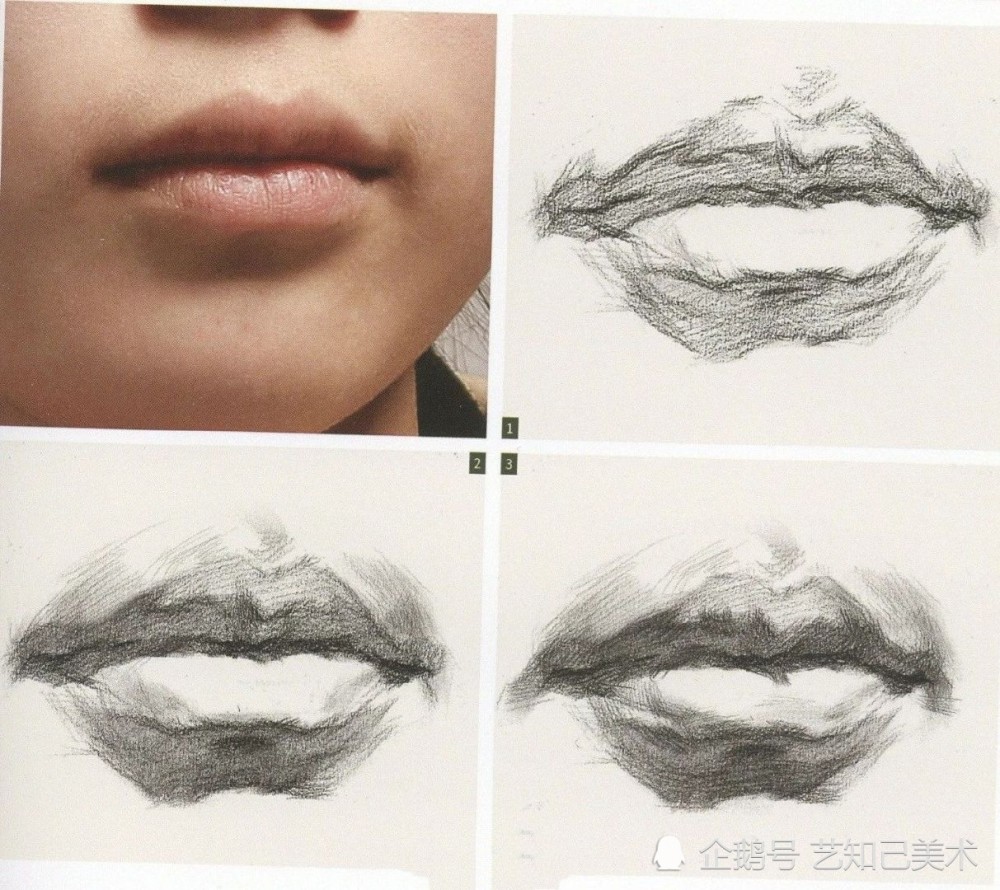 素描唇部如何画好?这些要点要记牢