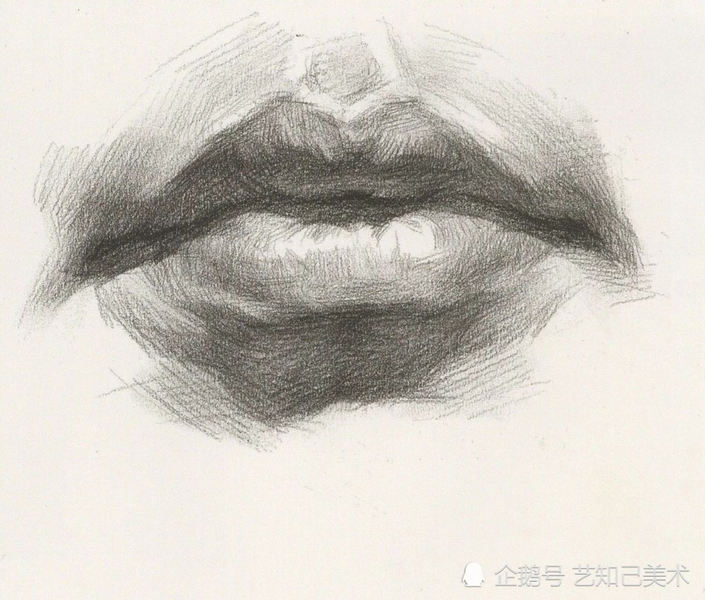 素描唇部如何画好?这些要点要记牢