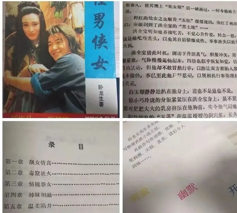 男女情爱的苦与甜|《怪男侠女》:卧龙生武侠小说伪作系列第六十四部