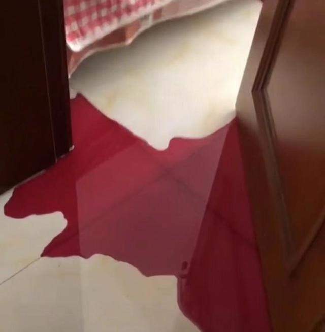 家长回家后发现地上一片血红色,仔细一看原来是孩子搞
