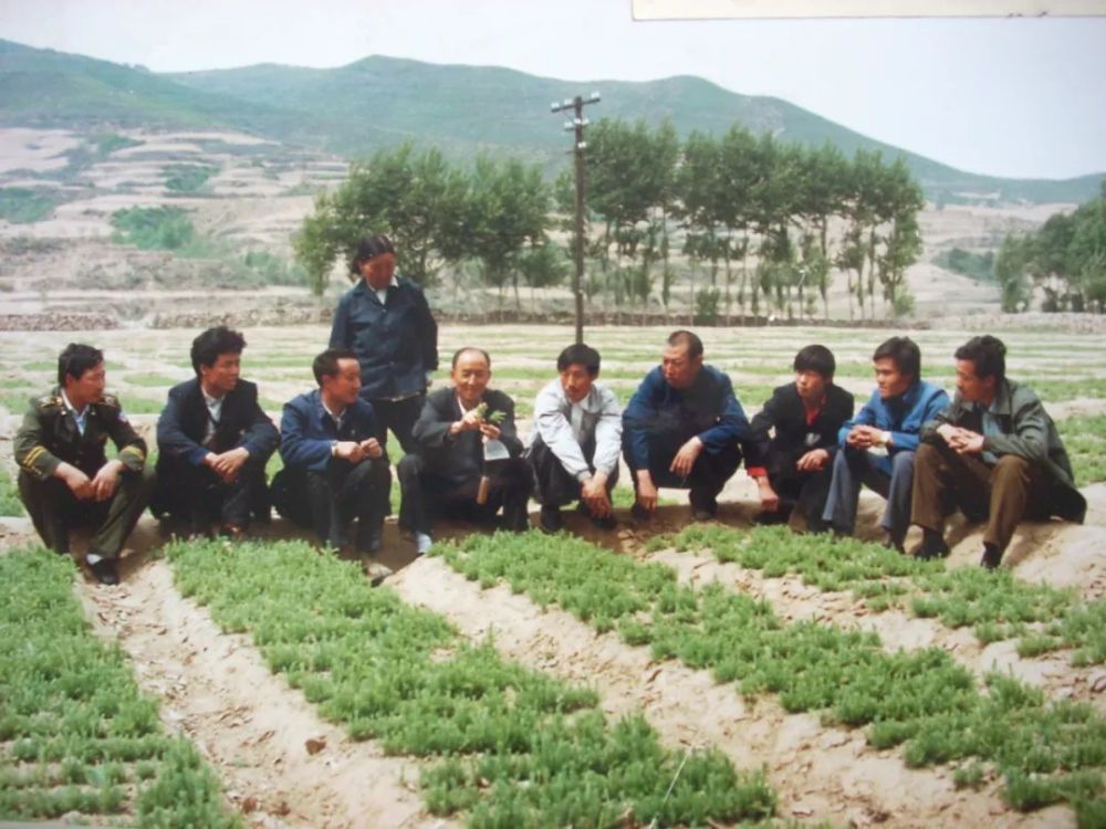 九十年代黑茶林局南阳山林场党支部研究林场工作今天,让我们一道走进