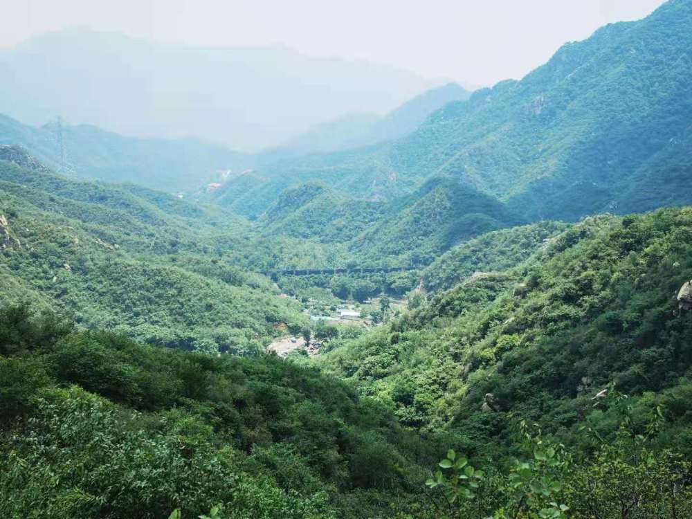 北京大岭沟猕猴桃谷风景区,幽静空谷听鸟鸣,到山顶看草木葱茏