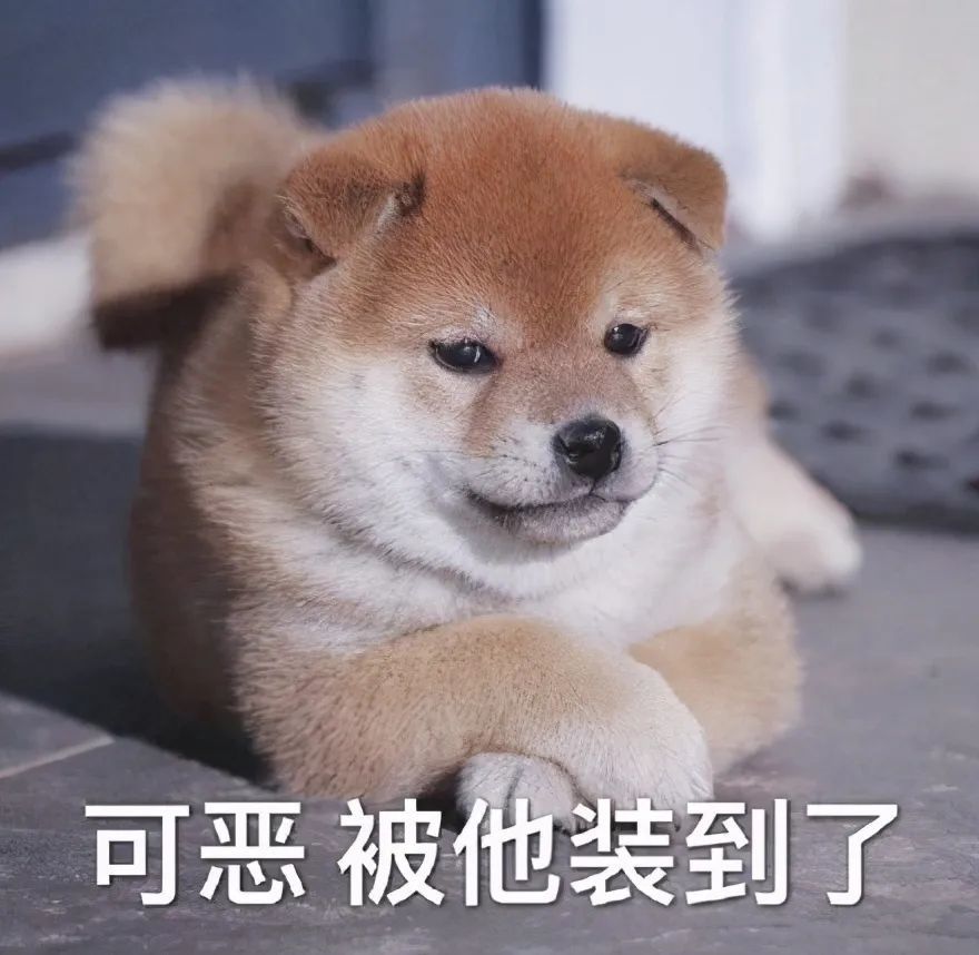 【恶搞表情】可恶被他装到了