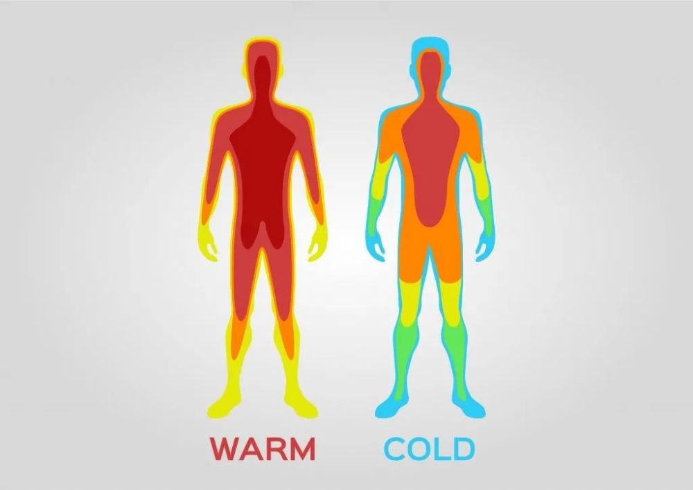 人体体表温度的波动范围很大,极易受环境温度控制.