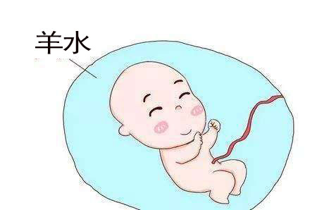 羊水深度羊水指数教你快速分清羊水量指标