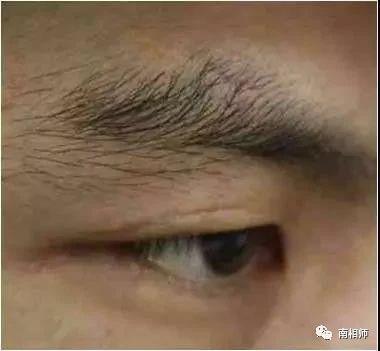 扫帚眉图片 腾讯网