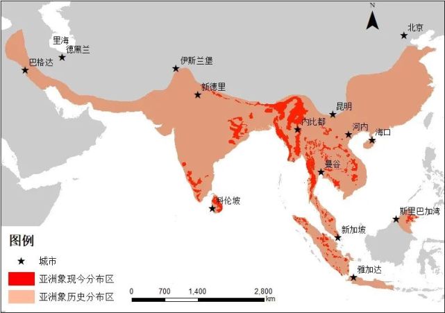现生亚洲象及其地史分布图  (图片来源:维基网基础上,由王浩瀚绘制)