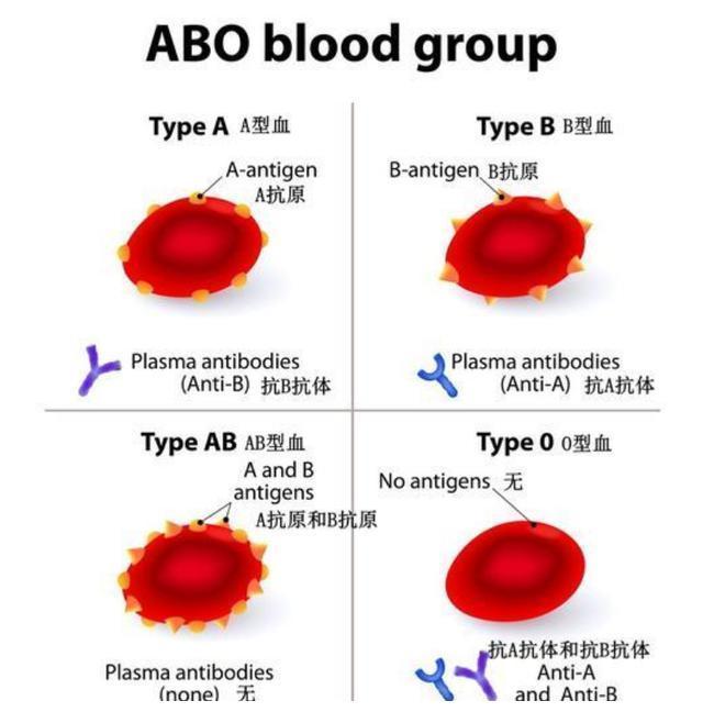 中国最罕见的血型在江苏发现,已被国际基因库收录,全世界仅一例