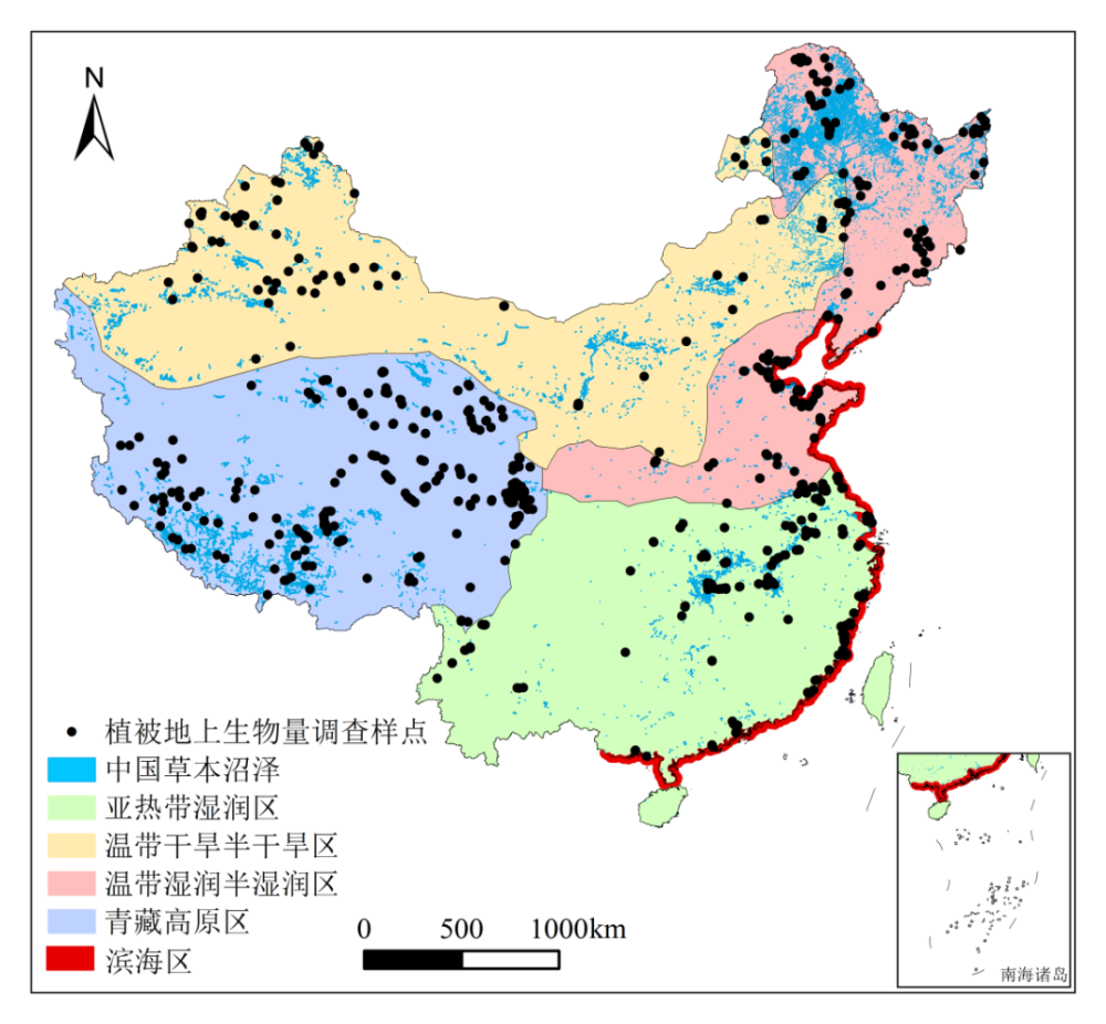 中国草本沼泽植被地上生物量及其空间分布格局