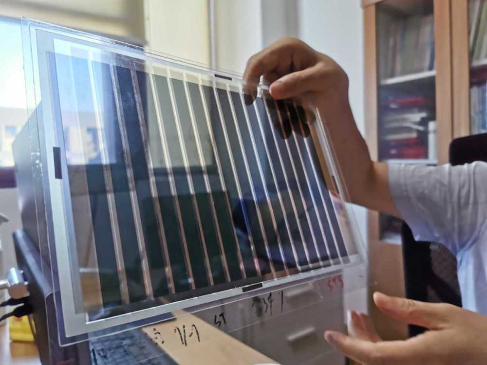 葛子义博士展示半透明有机太阳能电池 徐卓蔚 摄