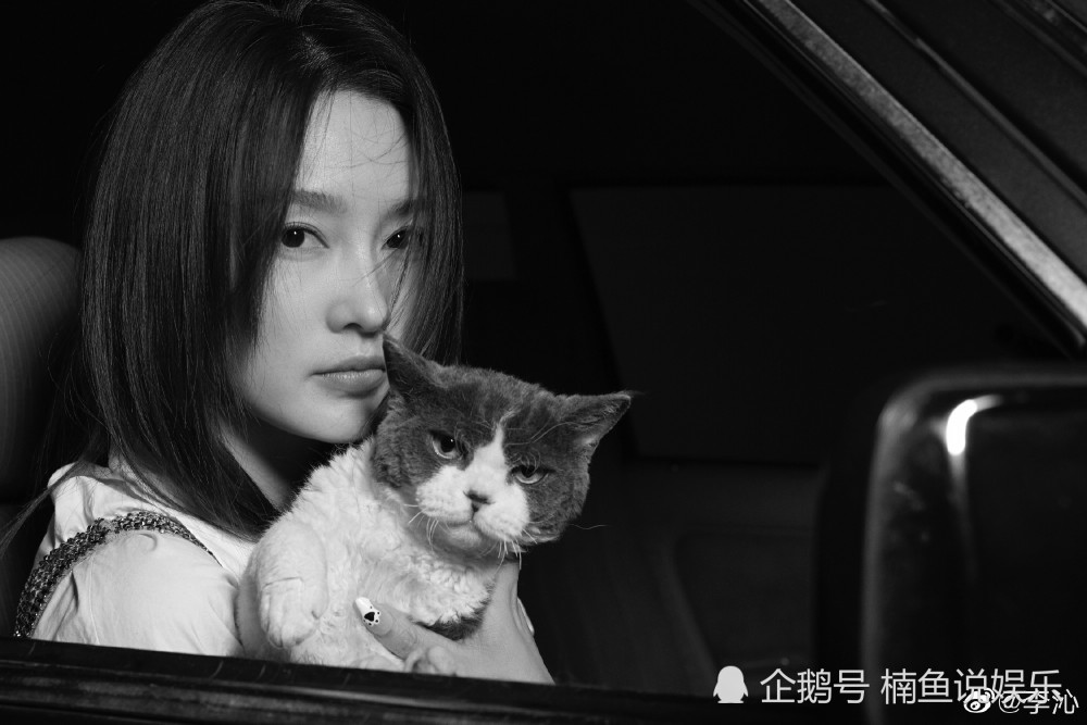 被李沁美到了怀抱猫咪拍照生图抢镜仔细看连毛孔看得清