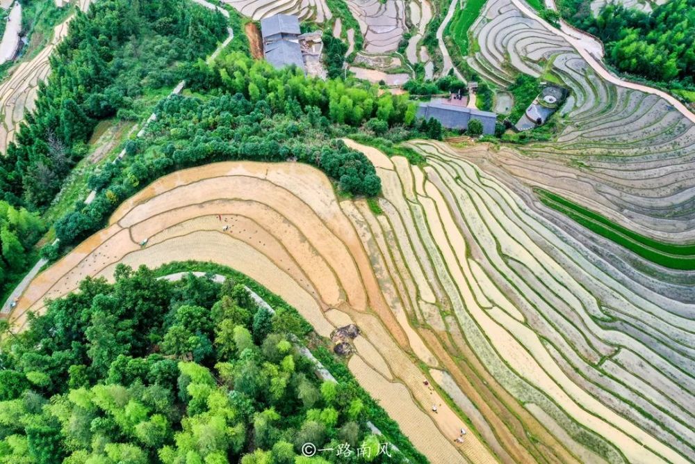 跟着携程旅行家游赣州|一路南风眼中的崇义上堡梯田