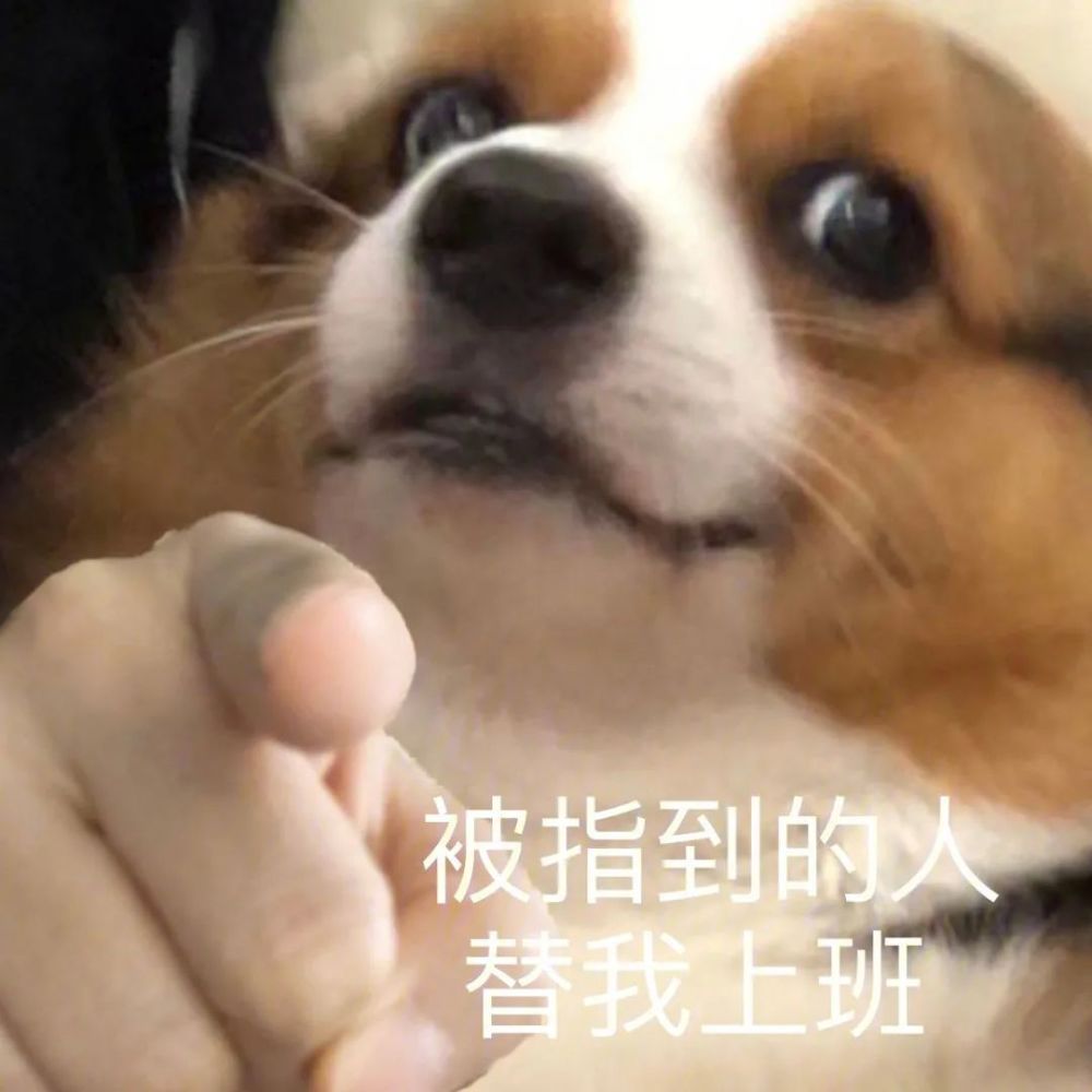 抖音超火的指人表情包 | 指到谁请我喝奶茶