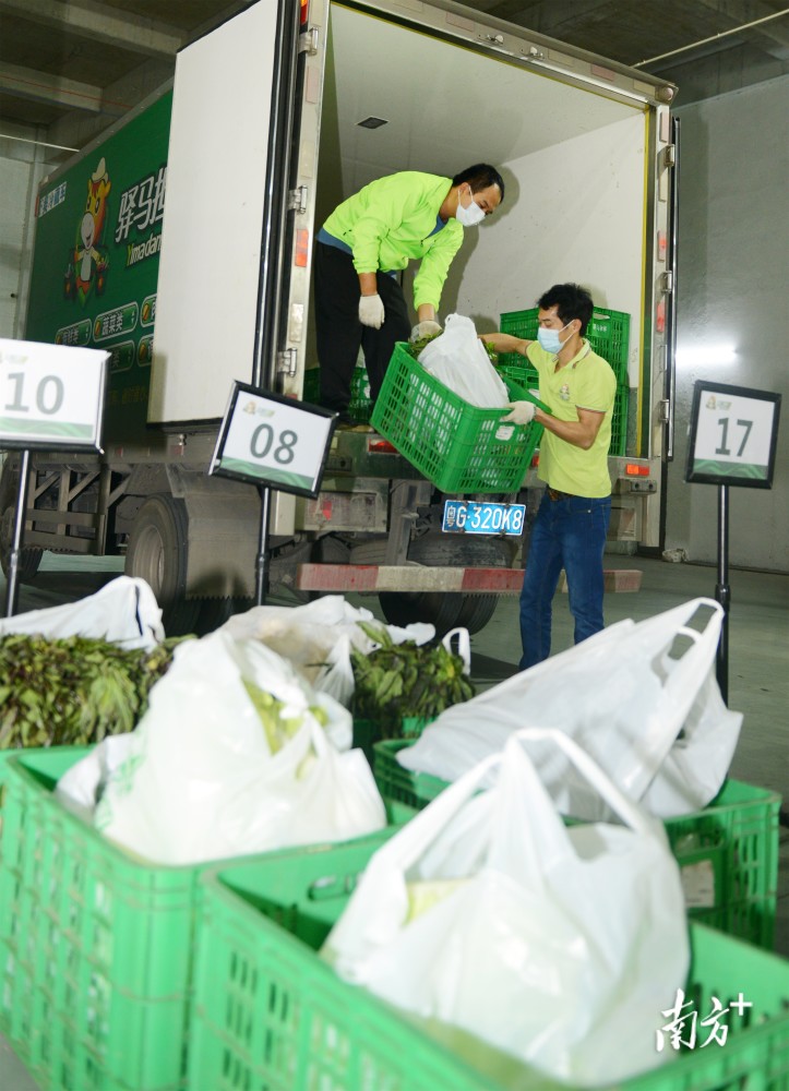 "生动鲜"仓库内灯火通明,工作人员忙碌搬运,分拣蔬菜