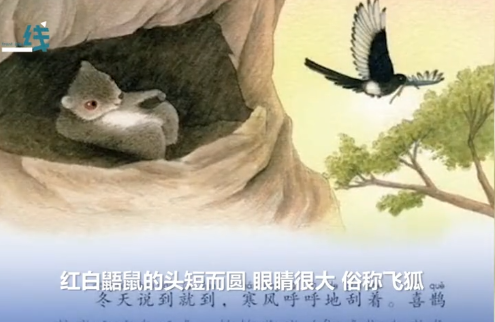 寒号鸟真的不是鸟