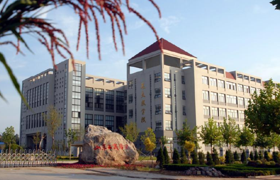 山东院校排名_山东专科院校排名2020(2)