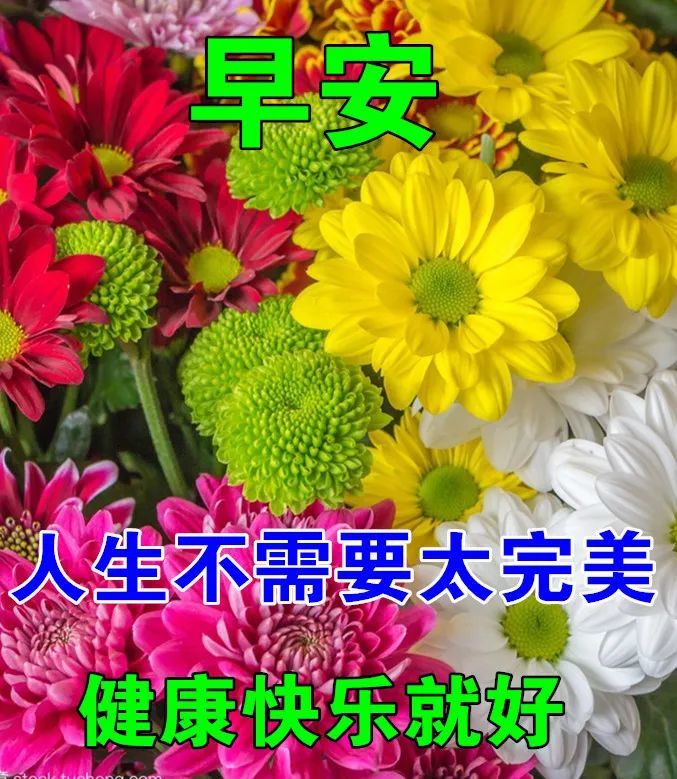 7月5日最漂亮早上好动态表情图片大全,早晨好动图美图