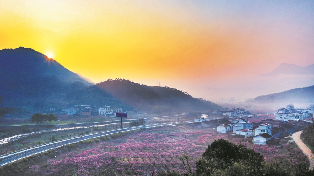 福安市穆云乡虎头村的醉美桃花 丁立凡 摄