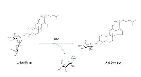 人参提取物人参皂苷rg3和人参皂苷rh2的差别