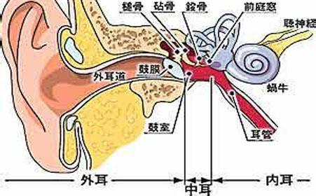 中耳炎|不是高冷,而是真的听不清