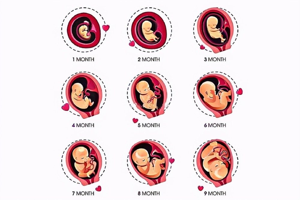 怀孕产检全过程(280天孕检时间表)