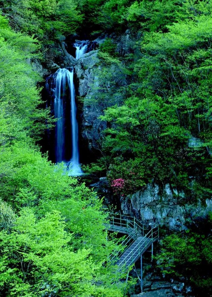 气势磅礴的飞流瀑布,秀美的高山峻岭,一望无际的原始竹海,珍贵的天然