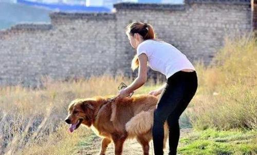 老人说好男不养猫好女不养狗这句话说的有道理吗
