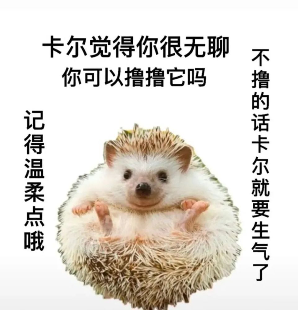 刺猬卡尔表情包:谢谢卡尔