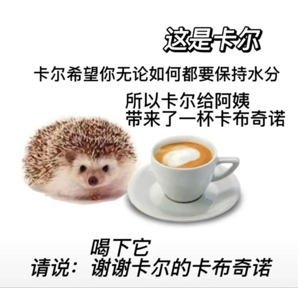 刺猬卡尔表情包谢谢卡尔