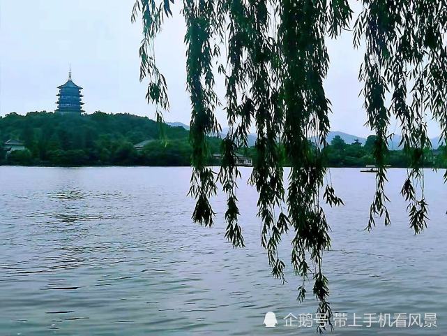 图为西湖美景实拍图. (来自:带上手机看风景)