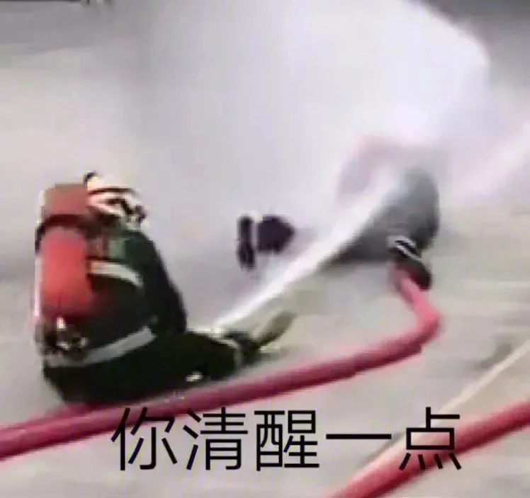 表情包|丸子妹妹yyds
