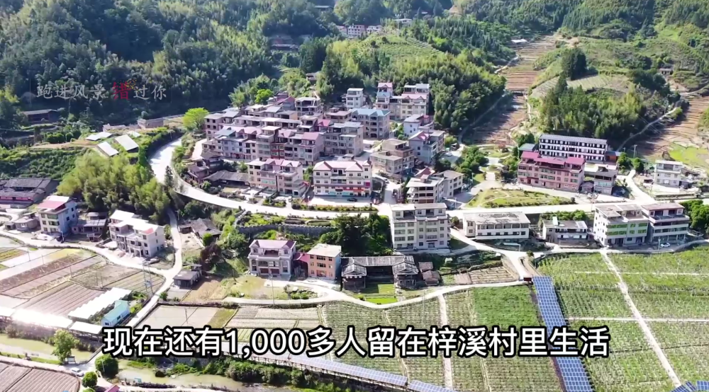 现在还有1000多人留在梓溪村内生活,梓溪村也是林氏家族的聚居型村落
