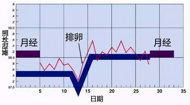 这是因为排卵期,宫颈在雌,孕激素作用下,宫颈口开张并且会分泌大量