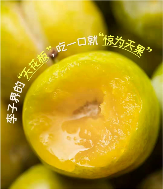 号称"李子界的天花板",贵州蜂糖李咬完一口就想吃一盆!