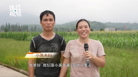 还记得在田地里跳网红曳步舞的夫妇吗他们每天为村