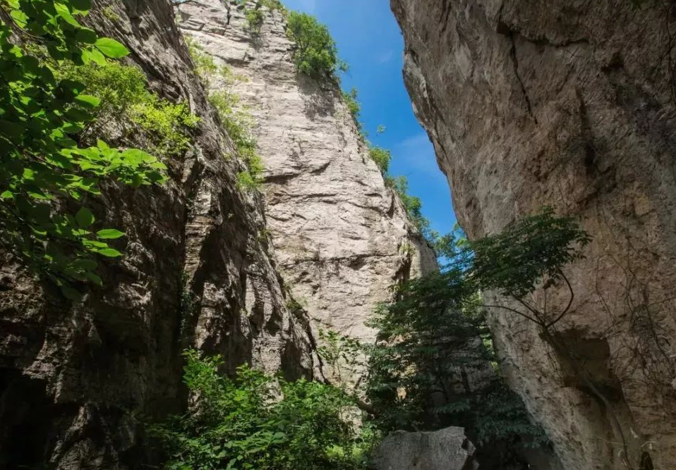 盛夏避暑去哪玩?这处绝美峡谷值得看,门票60元,就在山东枣庄市