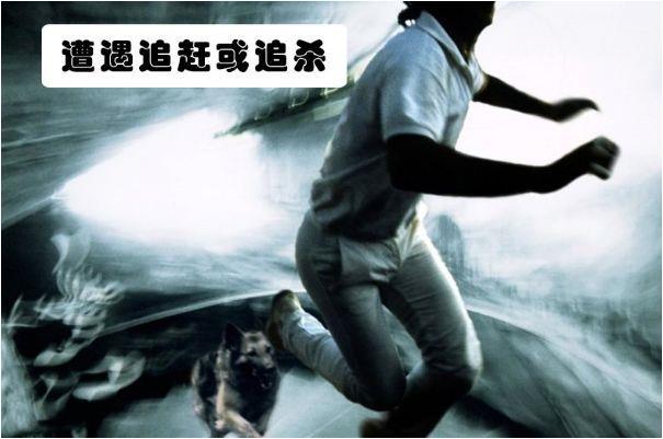 梦境迷雾，解读做梦了梦见黑色的蛇的深层含义