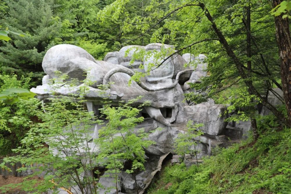 【互动】鹤岗森林游——金顶山地质公园7月2日盛大开园!约起!