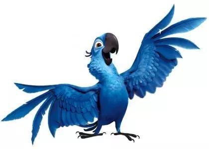 还记得《里约大冒险》里有趣的蓝色鹦鹉blu吗?现正式宣布灭绝