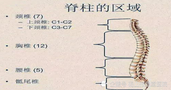 怎么有效的保护新生儿脊柱侧弯的问题,通常脊柱侧弯的