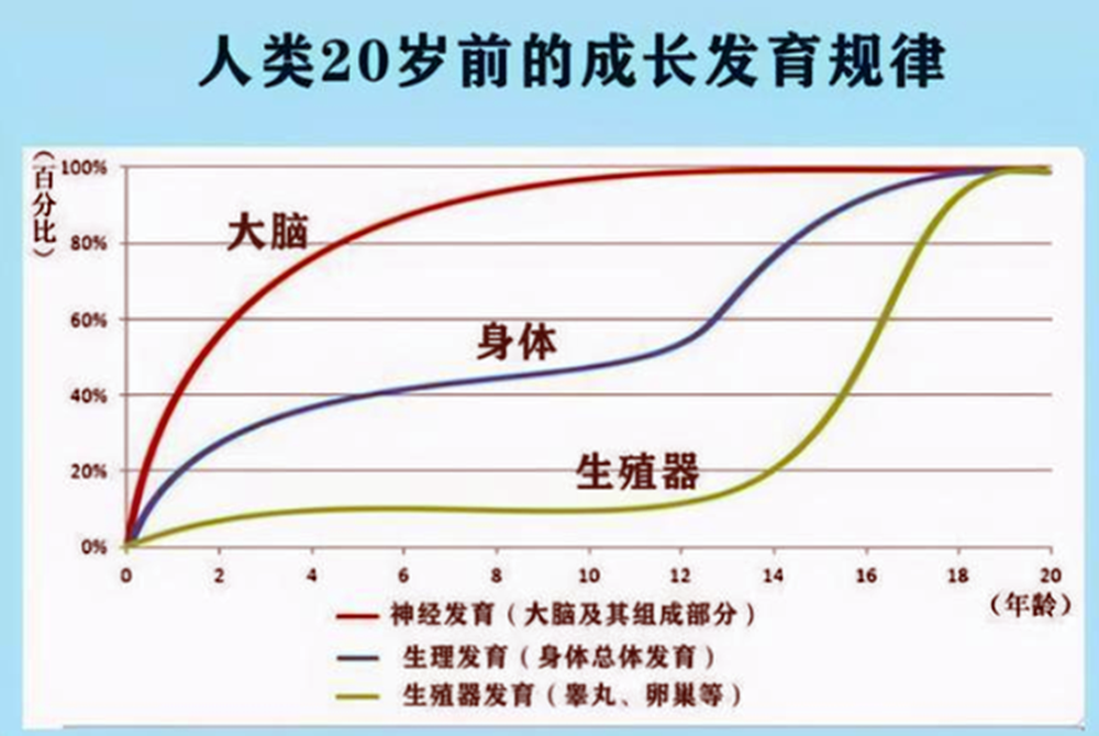 研究人员通过对孩子大脑发育长期观察,制作了一张" 人类20岁前的成长