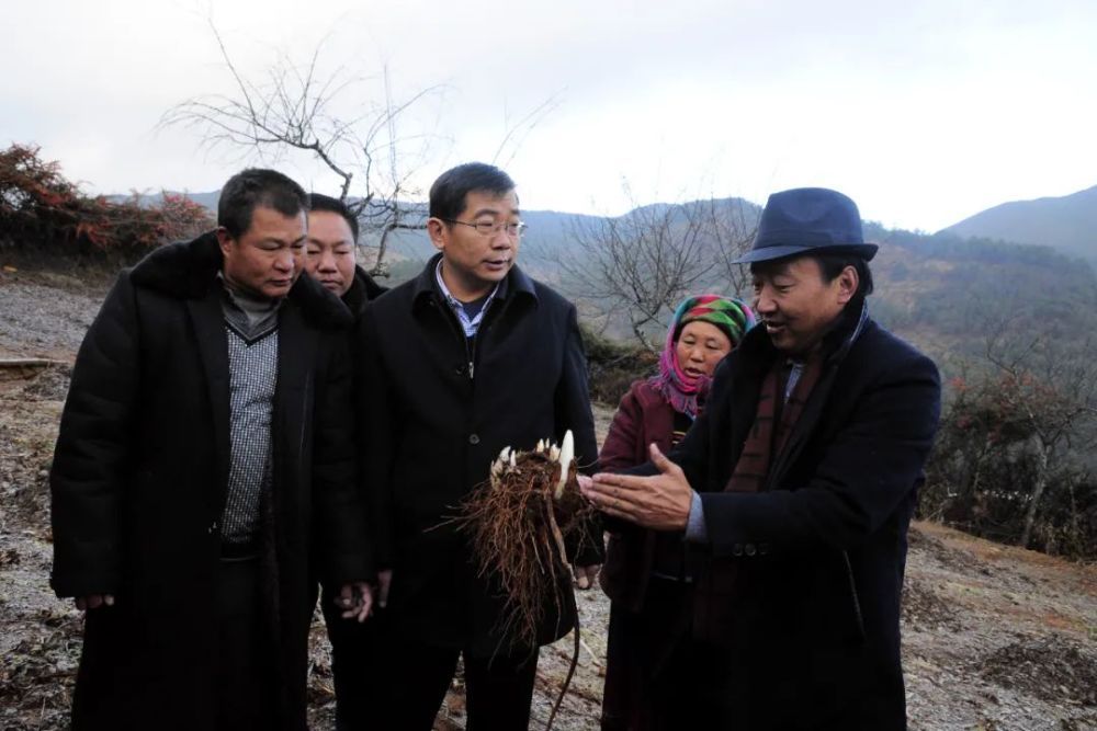 杨书记好样的宁蒗县委书记杨承新获全国优秀县委书记昨日接受表彰