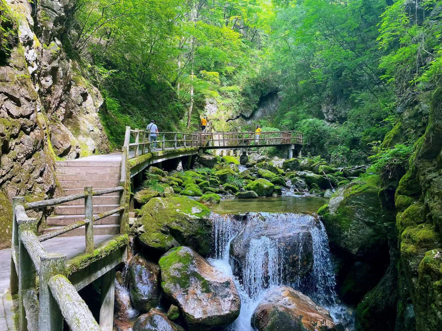 受强降雨影响牛背梁景区7月10日11日临时闭园2天